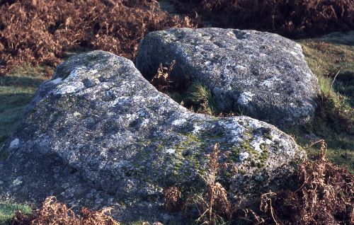 An image from the Dartmoor Trust Archive