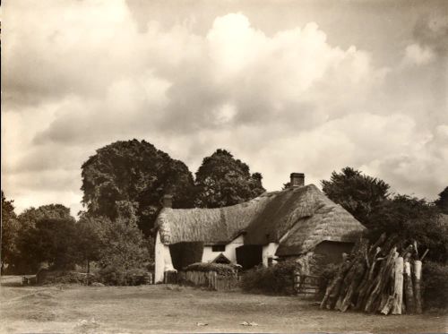 Thatched house