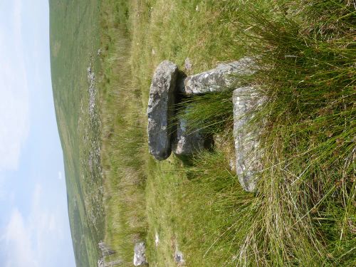 An image from the Dartmoor Trust Archive