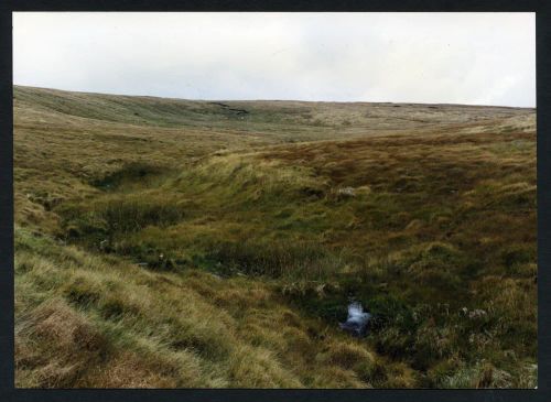 An image from the Dartmoor Trust Archive