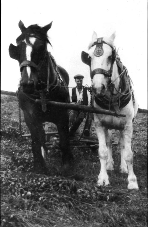 Ploughing at Heatree