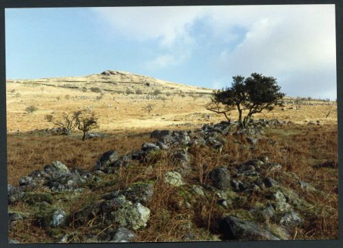 An image from the Dartmoor Trust Archive