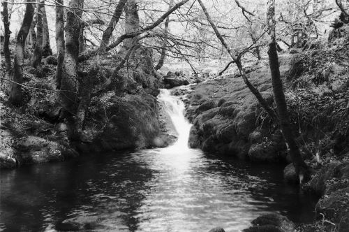 An image from the Dartmoor Trust Archive