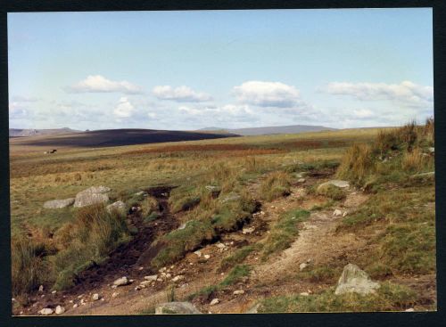 An image from the Dartmoor Trust Archive