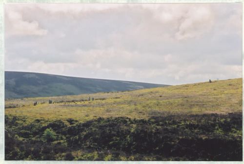 An image from the Dartmoor Trust Archive