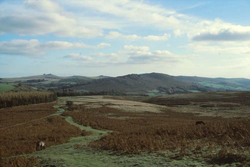 An image from the Dartmoor Trust Archive