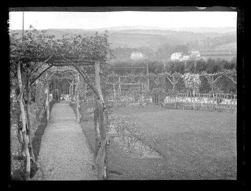 Garden at Oakley, Plympton