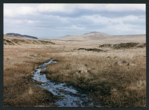 An image from the Dartmoor Trust Archive