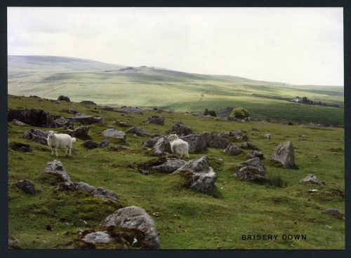 An image from the Dartmoor Trust Archive