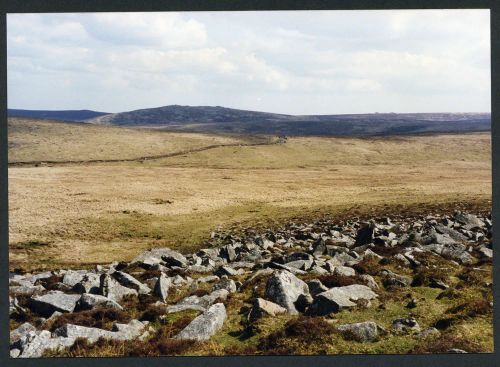 An image from the Dartmoor Trust Archive