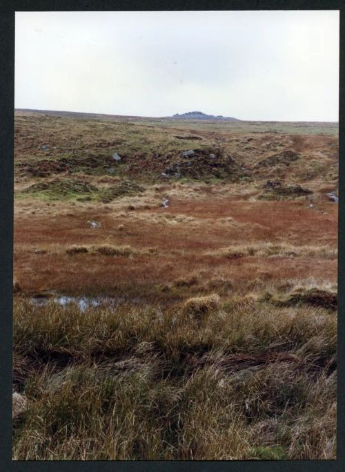 An image from the Dartmoor Trust Archive