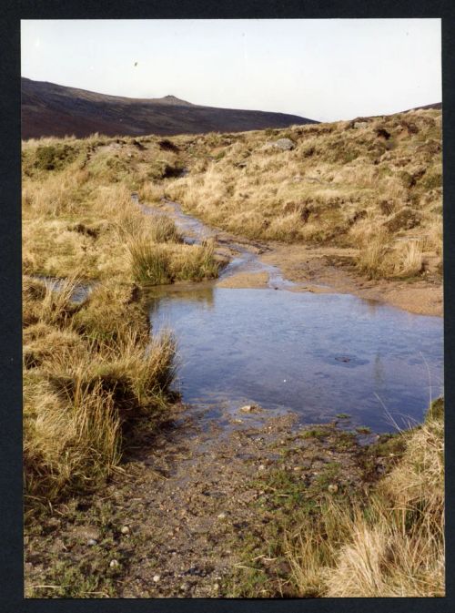 An image from the Dartmoor Trust Archive