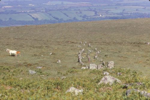 An image from the Dartmoor Trust Archive